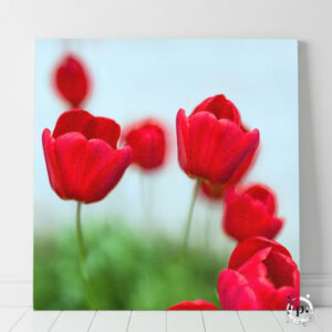 Fire Flower